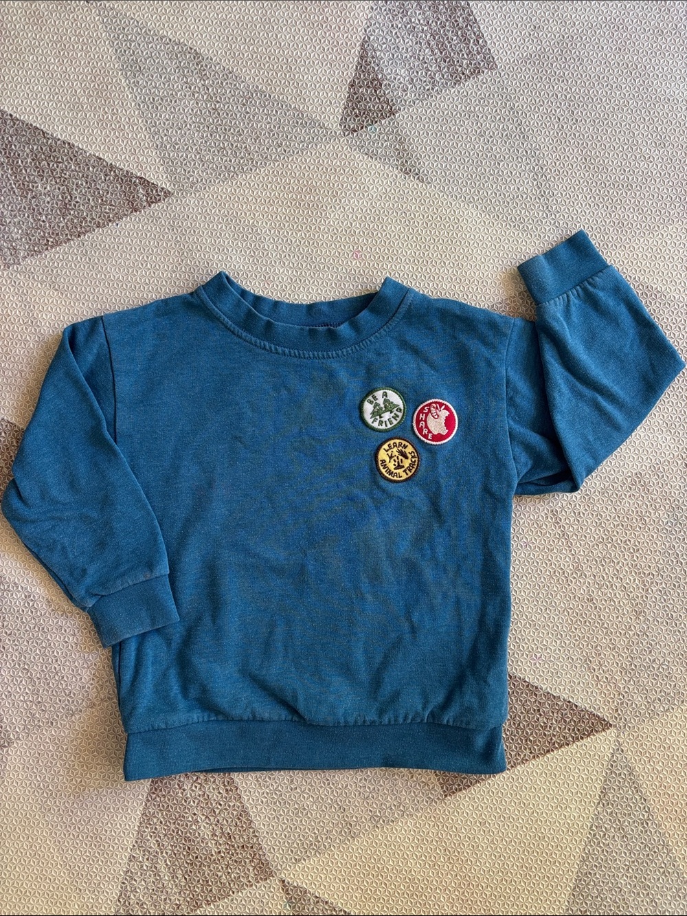 Patagonia lightweight crew sweatshirt